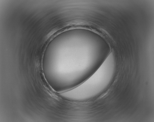 X0000051861065200506240956