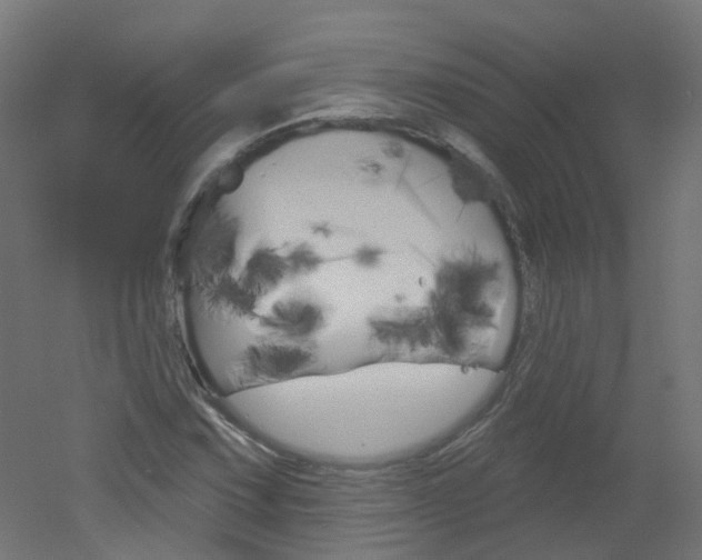 X0000051861067200506240956