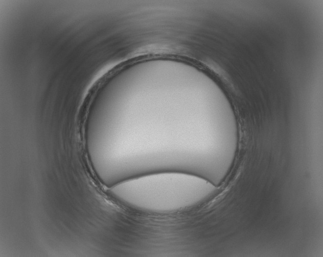 X0000051861070200506240956