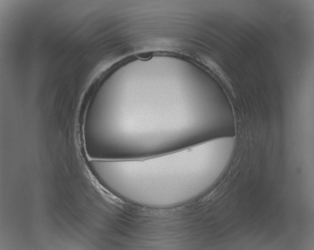 X0000051861072200506240956