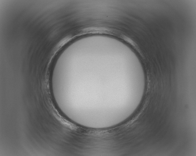 X0000051861074200506240956
