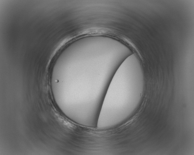 X0000051861075200506240956