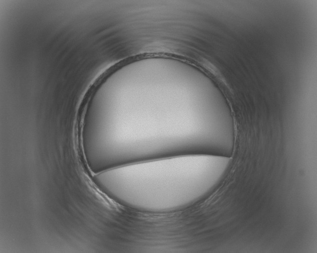 X0000051861076200506240956