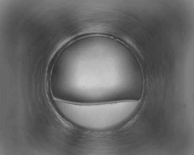 X0000051861077200506240956
