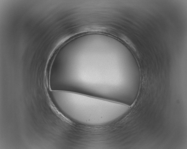 X0000051861080200506240956