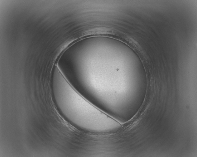 X0000051861081200506240956