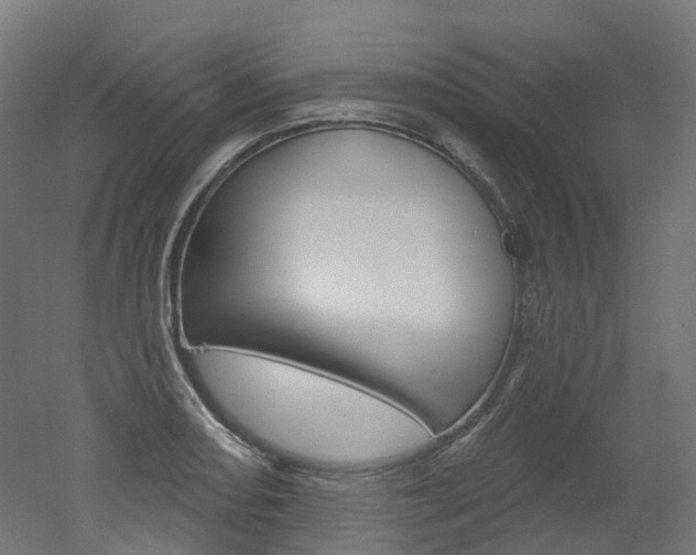 X0000051861082200506240956