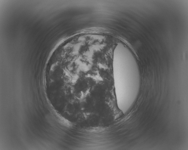 X0000051861083200506240956