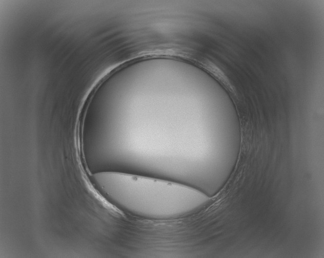 X0000051861084200506240956