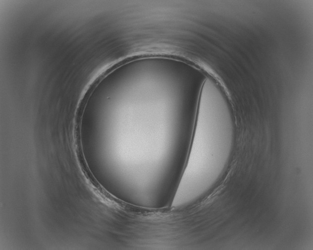 X0000051861085200506240956