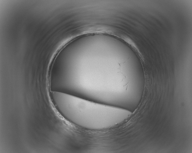 X0000051861088200506240956