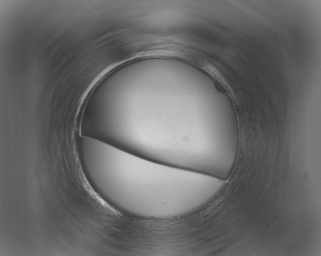X0000051861092200506240956