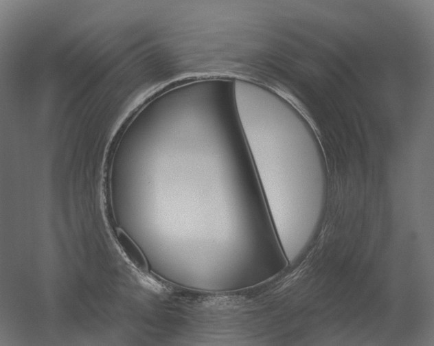 X0000051861093200506240956