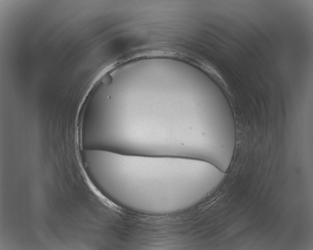 X0000051861095200506240956