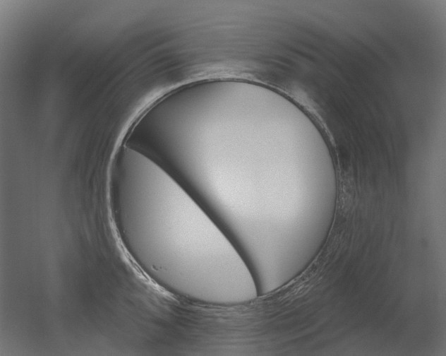 X0000051861096200506240956