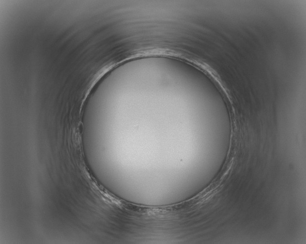 X0000051861097200506240956