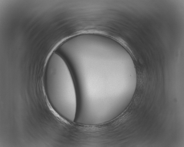 X0000051861100200506240956