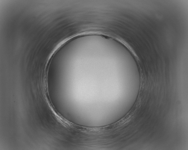 X0000051861101200506240956