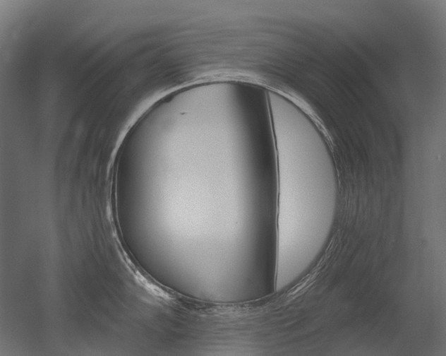X0000051861102200506240956