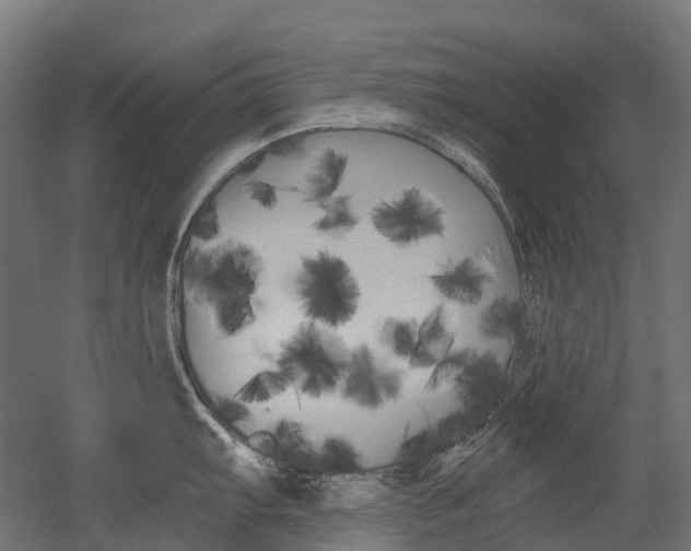 X0000051861103200506240956