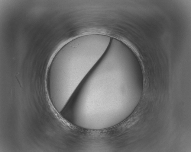 X0000051861104200506240956