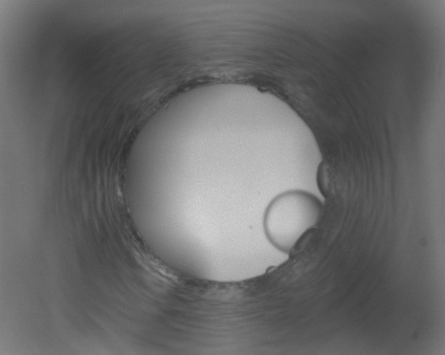 X0000051861106200506240955