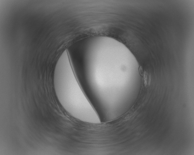 X0000051861107200506240955