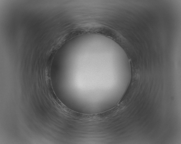 X0000051861108200506240955