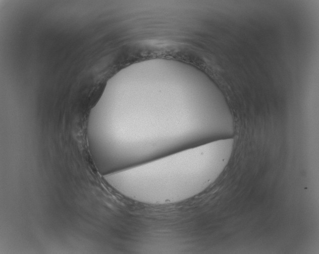 X0000051861109200506240955