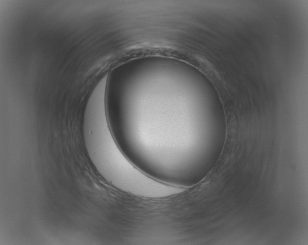 X0000051861110200506240955