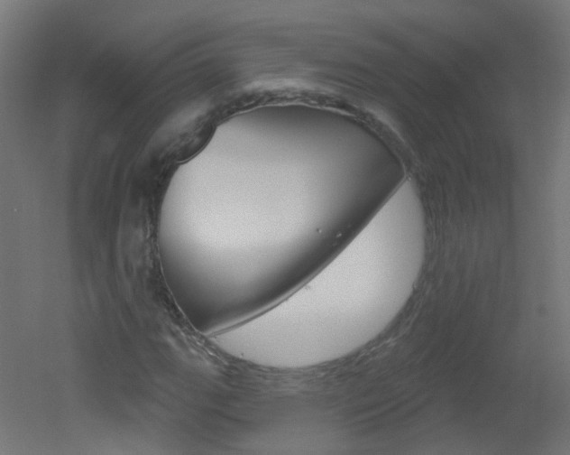 X0000051861111200506240955
