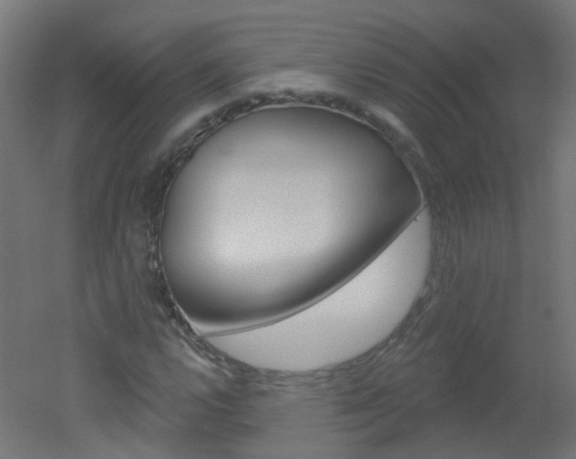 X0000051861112200506240955