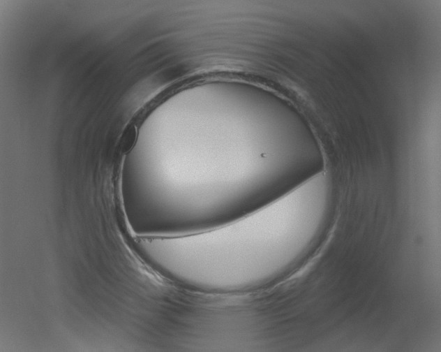 X0000051861113200506240955