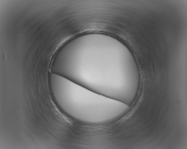 X0000051861121200506240955