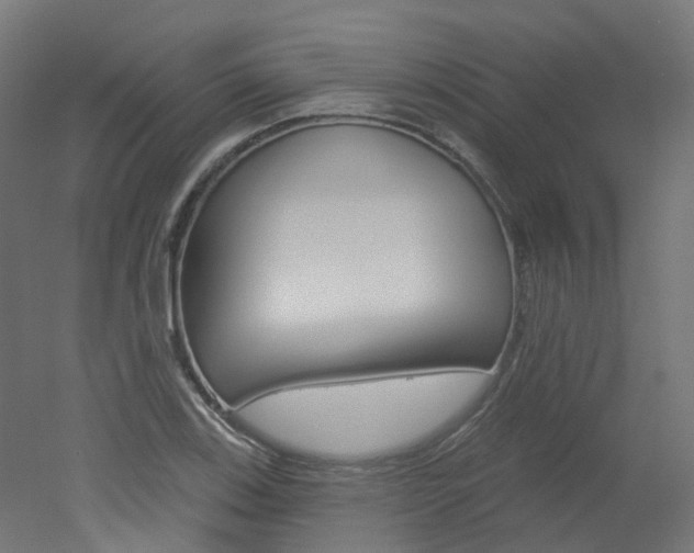 X0000051861123200506240955