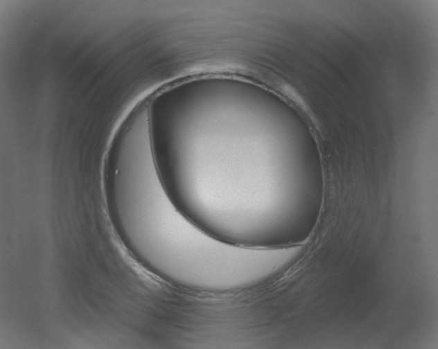 X0000051861124200506240955