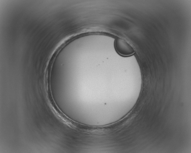X0000051861126200506240955
