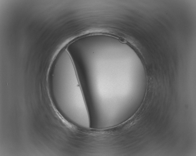 X0000051861127200506240955