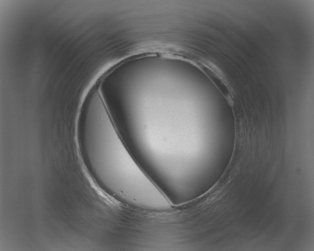 X0000051861128200506240955