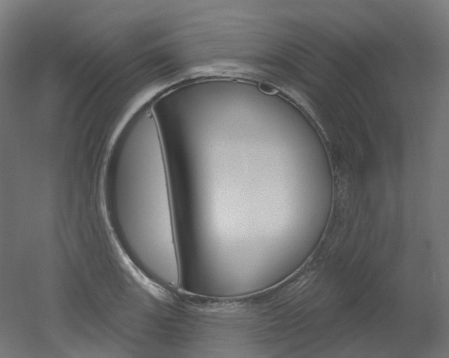 X0000051861131200506240955