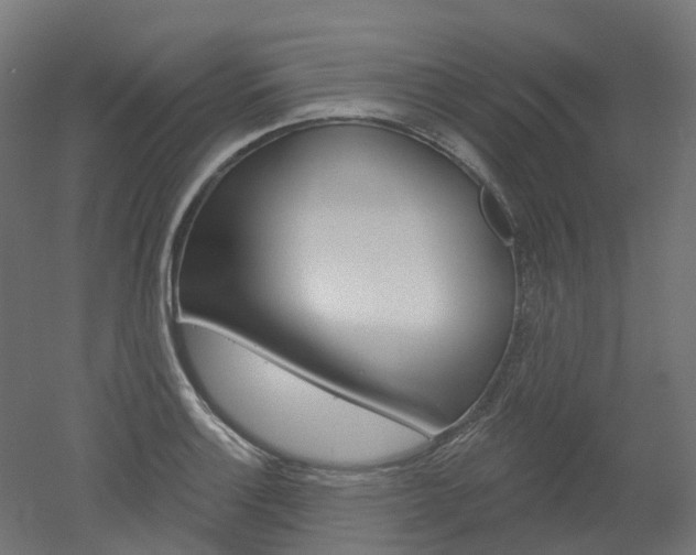 X0000051861132200506240955