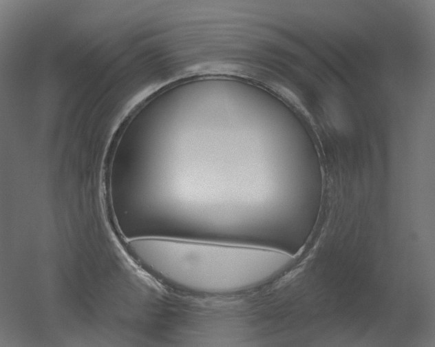 X0000051861133200506240955