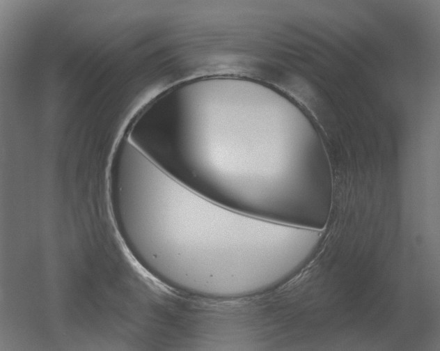 X0000051861135200506240955