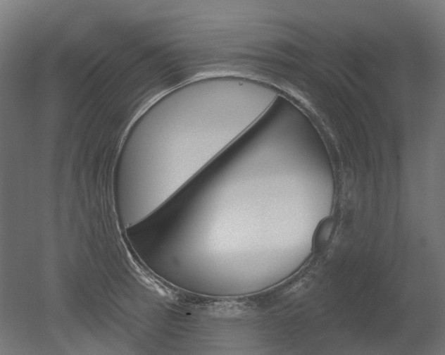 X0000051861137200506240955
