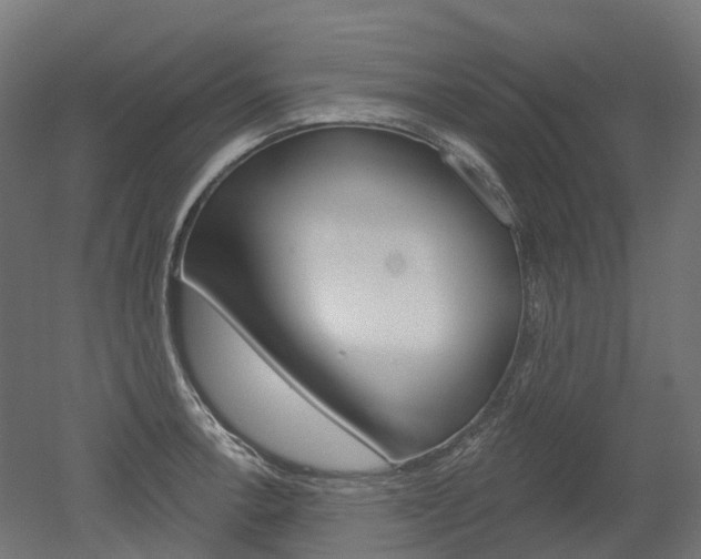 X0000051861138200506240955