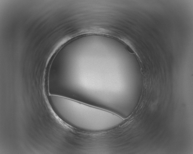 X0000051861139200506240955