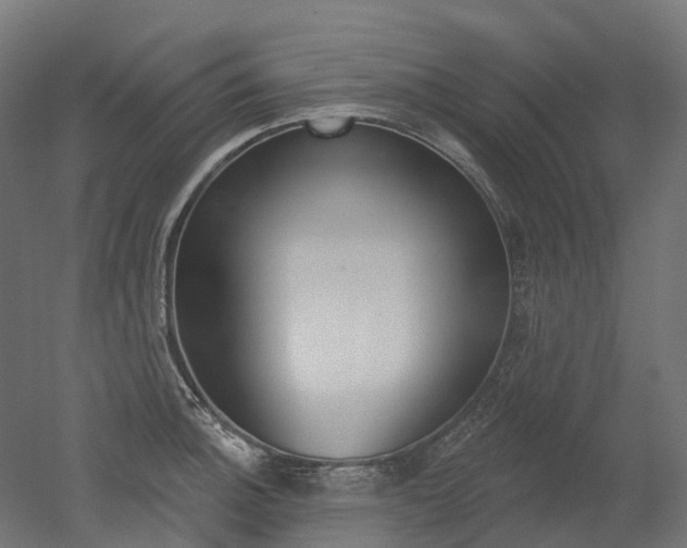 X0000051861140200506240955