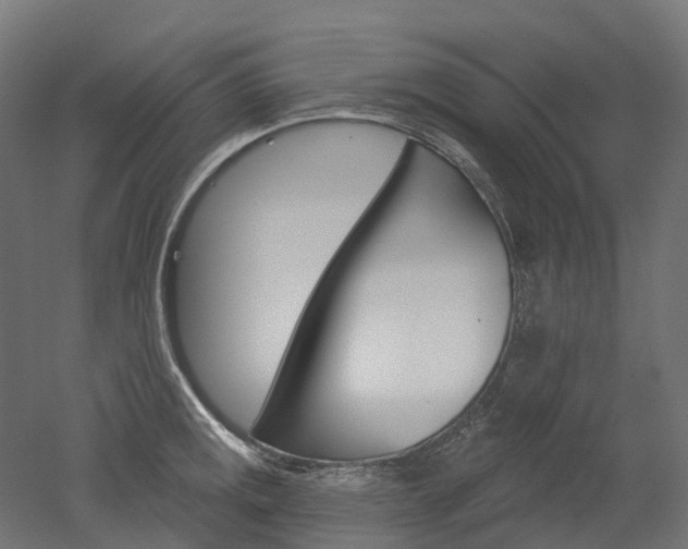 X0000051861141200506240955