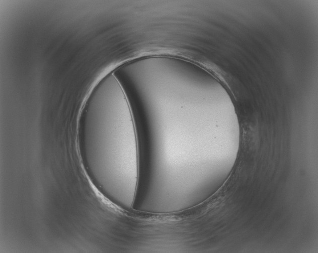 X0000051861143200506240955