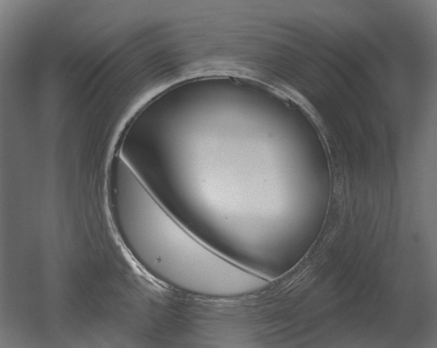 X0000051861144200506240955